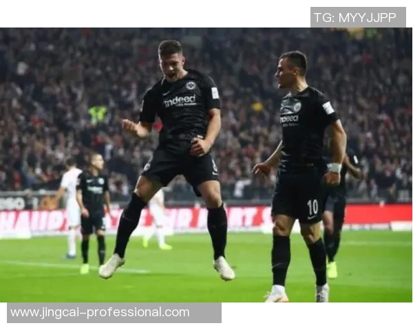 德甲精彩对决本菲卡狂胜多特蒙德引发全场震撼回顾